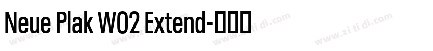 Neue Plak W02 Extend字体转换